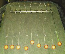 Vineri 13